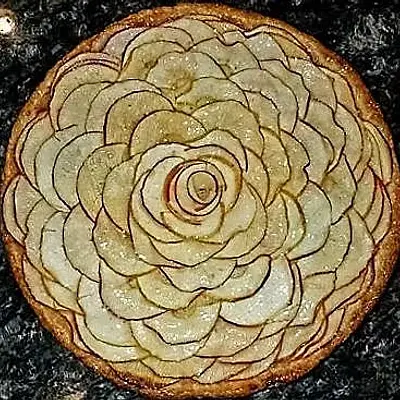 French Apple Tart, 10-inch